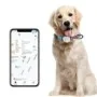 Traceur GPS pour animaux et humains bouton SOS appel bidirectionnel 