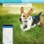 Traceur GPS 4G Waterproof pour animaux de compagnie Suivi en Temps Réel