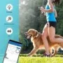 Traceur GPS 4G Waterproof pour animaux de compagnie Suivi en Temps Réel