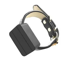 Collier avec Traceur GPS géo clôture, suivi en temps réel et écoute pour chien et chat 