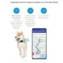 Traceur GPS 4G pour Animal Waterproof suivi en Temps Réel Géo-clôture