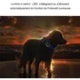 Traceur GPS 4G pour Animal Waterproof suivi en Temps Réel Géo-clôture