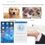 Collier GPS pour chien waterproof mouchard avec suivi en temps réel 